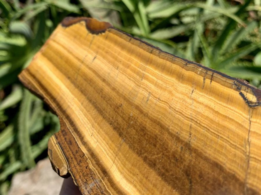 Polished On One Side Golden Tigers Eye Slab x 1 From Prieska, South Africa
