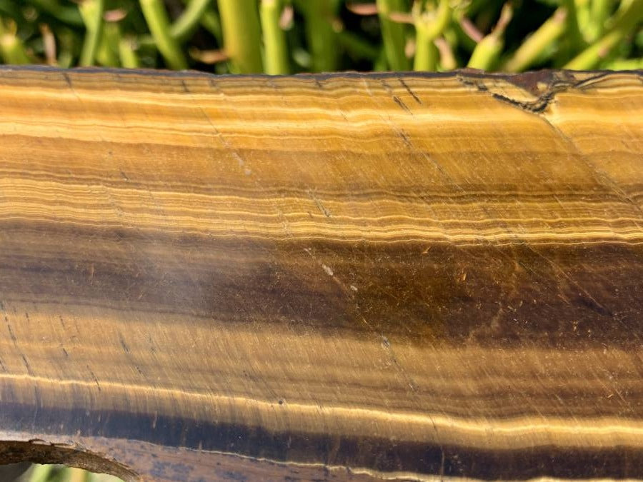 Polished On One Side Golden Tigers Eye Slab x 1 From Prieska, South Africa