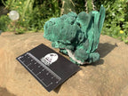 Natural Malachite Stalactite With Crystalline Botroiydal Base Specimen x 1 From Kolwezi, Congo