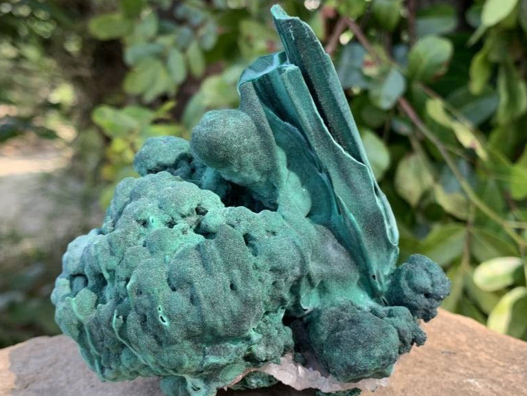 Natural Malachite Stalactite With Crystalline Botroiydal Base Specimen x 1 From Kolwezi, Congo