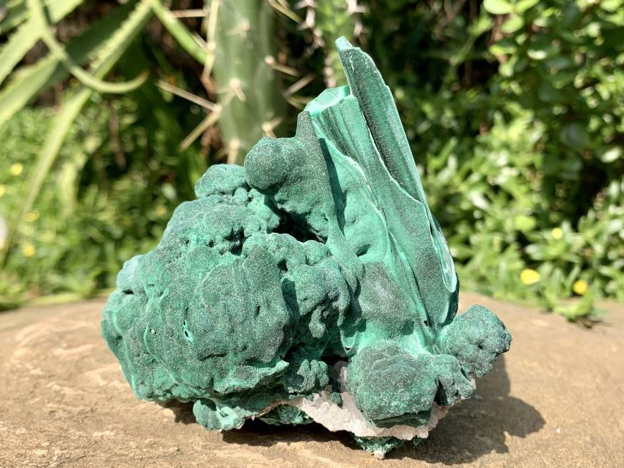 Natural Malachite Stalactite With Crystalline Botroiydal Base Specimen x 1 From Kolwezi, Congo