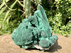 Natural Malachite Stalactite With Crystalline Botroiydal Base Specimen x 1 From Kolwezi, Congo
