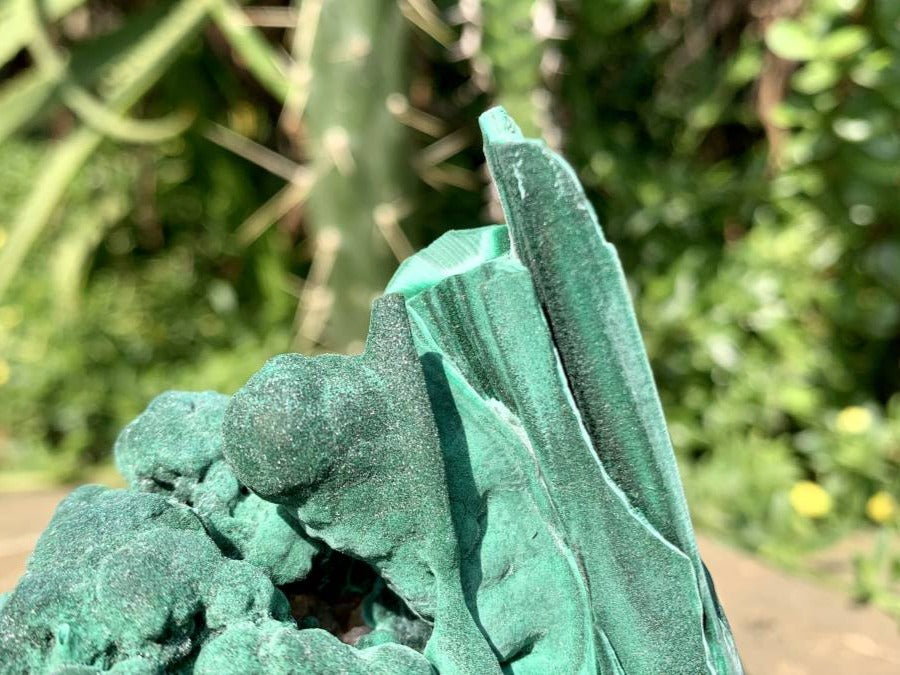Natural Malachite Stalactite With Crystalline Botroiydal Base Specimen x 1 From Kolwezi, Congo