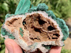 Natural Malachite Stalactite With Crystalline Botroiydal Base Specimen x 1 From Kolwezi, Congo