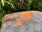 Polished Large Rare Purple Sunset Labradorite Standing Free Form x 1 From Tulear, Madagascar