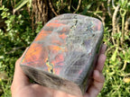 Polished Large Rare Purple Sunset Labradorite Standing Free Form x 1 From Tulear, Madagascar
