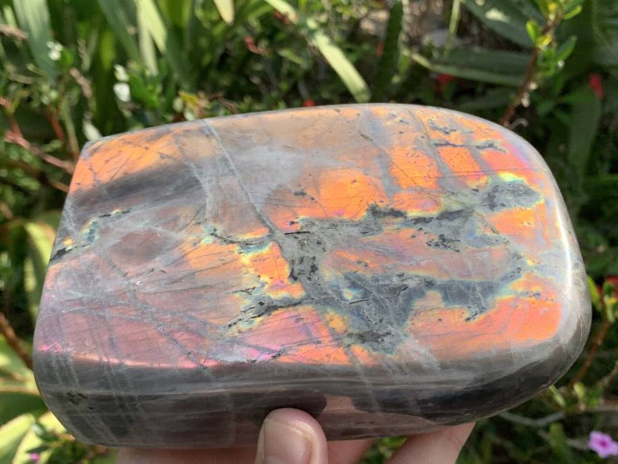 Polished Large Rare Purple Sunset Labradorite Standing Free Form x 1 From Tulear, Madagascar