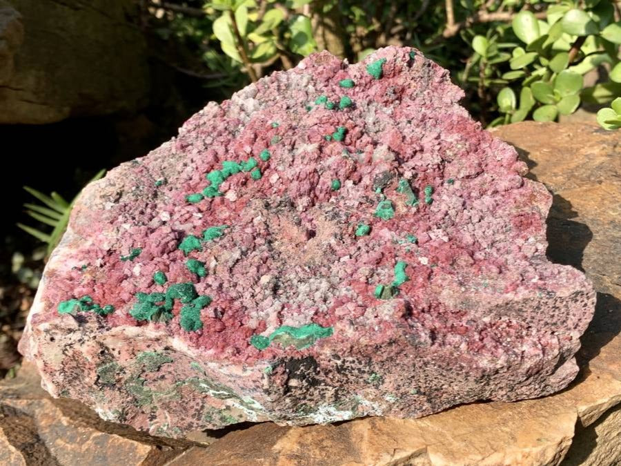 Natural Salrose Cobaltion Dolomite With Silky Ball Malachite Specimen x 1 From Kakanda, Congo