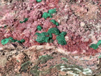 Natural Salrose Cobaltion Dolomite With Silky Ball Malachite Specimen x 1 From Kakanda, Congo