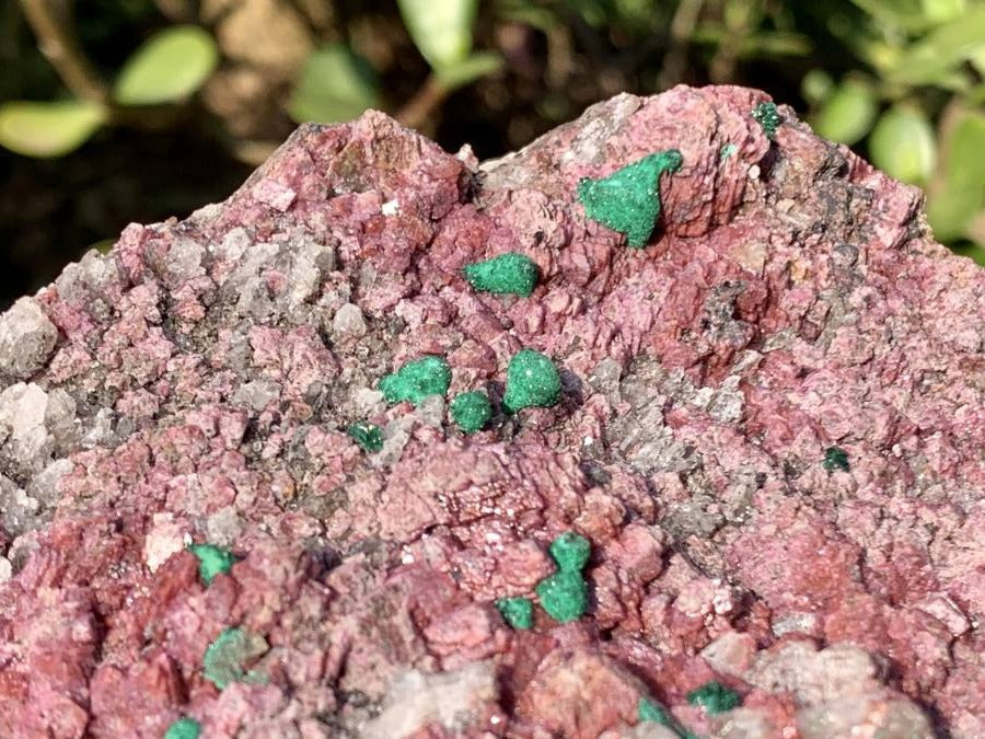 Natural Salrose Cobaltion Dolomite With Silky Ball Malachite Specimen x 1 From Kakanda, Congo