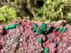 Natural Salrose Cobaltion Dolomite With Silky Ball Malachite Specimen x 1 From Kakanda, Congo
