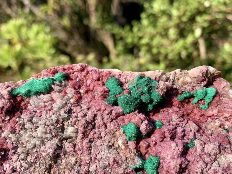 Natural Salrose Cobaltion Dolomite With Silky Ball Malachite Specimen x 1 From Kakanda, Congo