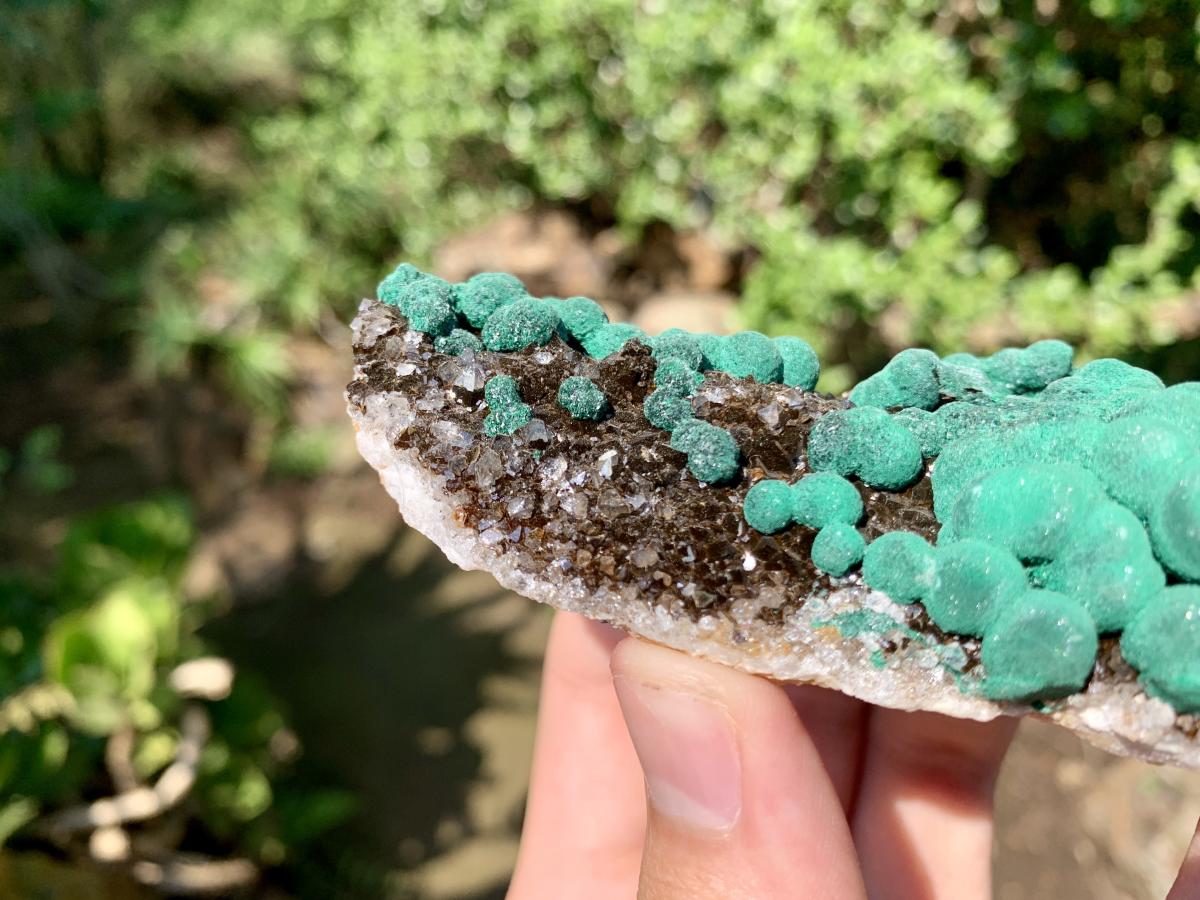 Natural Ball Malachite on Drusy Crystalline Dolomite Matrix Specimen x 1 From Kambove, Congo