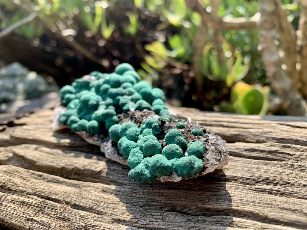 Natural Ball Malachite on Drusy Crystalline Dolomite Matrix Specimen x 1 From Kambove, Congo