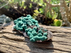 Natural Ball Malachite on Drusy Crystalline Dolomite Matrix Specimen x 1 From Kambove, Congo