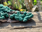 Natural Ball Malachite on Drusy Crystalline Dolomite Matrix Specimen x 1 From Kambove, Congo