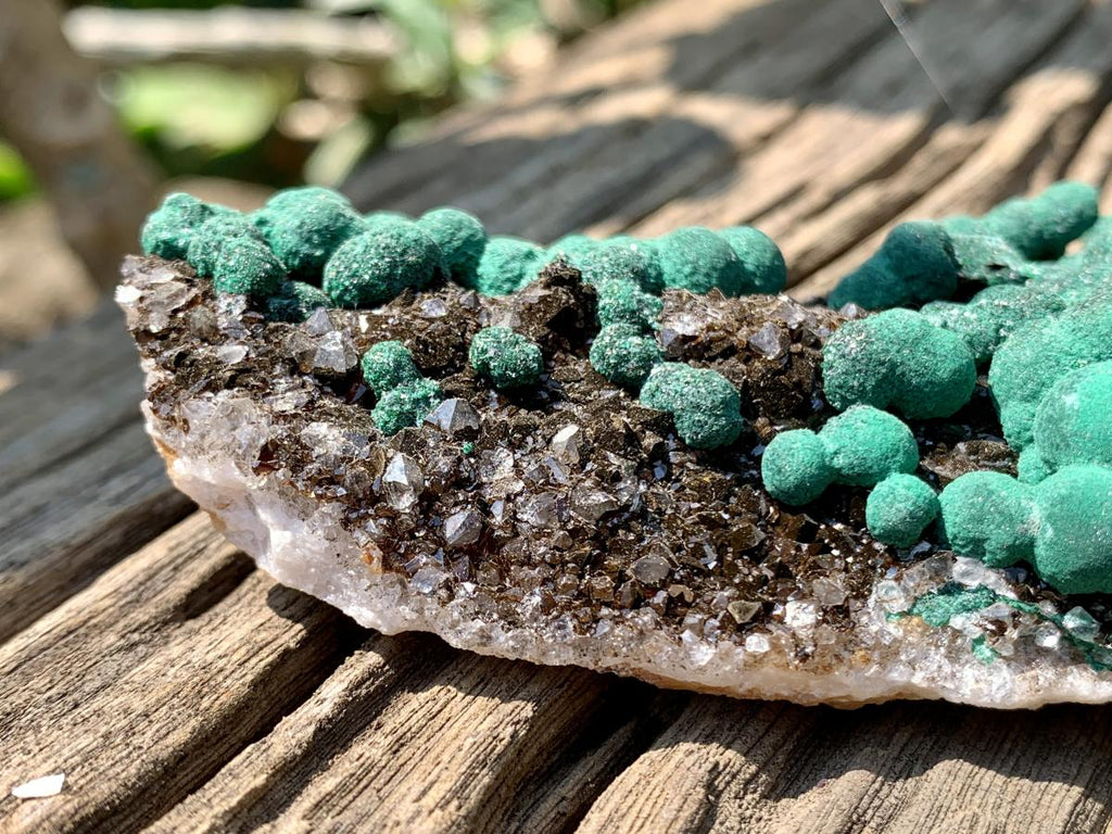 Natural Ball Malachite on Drusy Crystalline Dolomite Matrix Specimen x 1 From Kambove, Congo