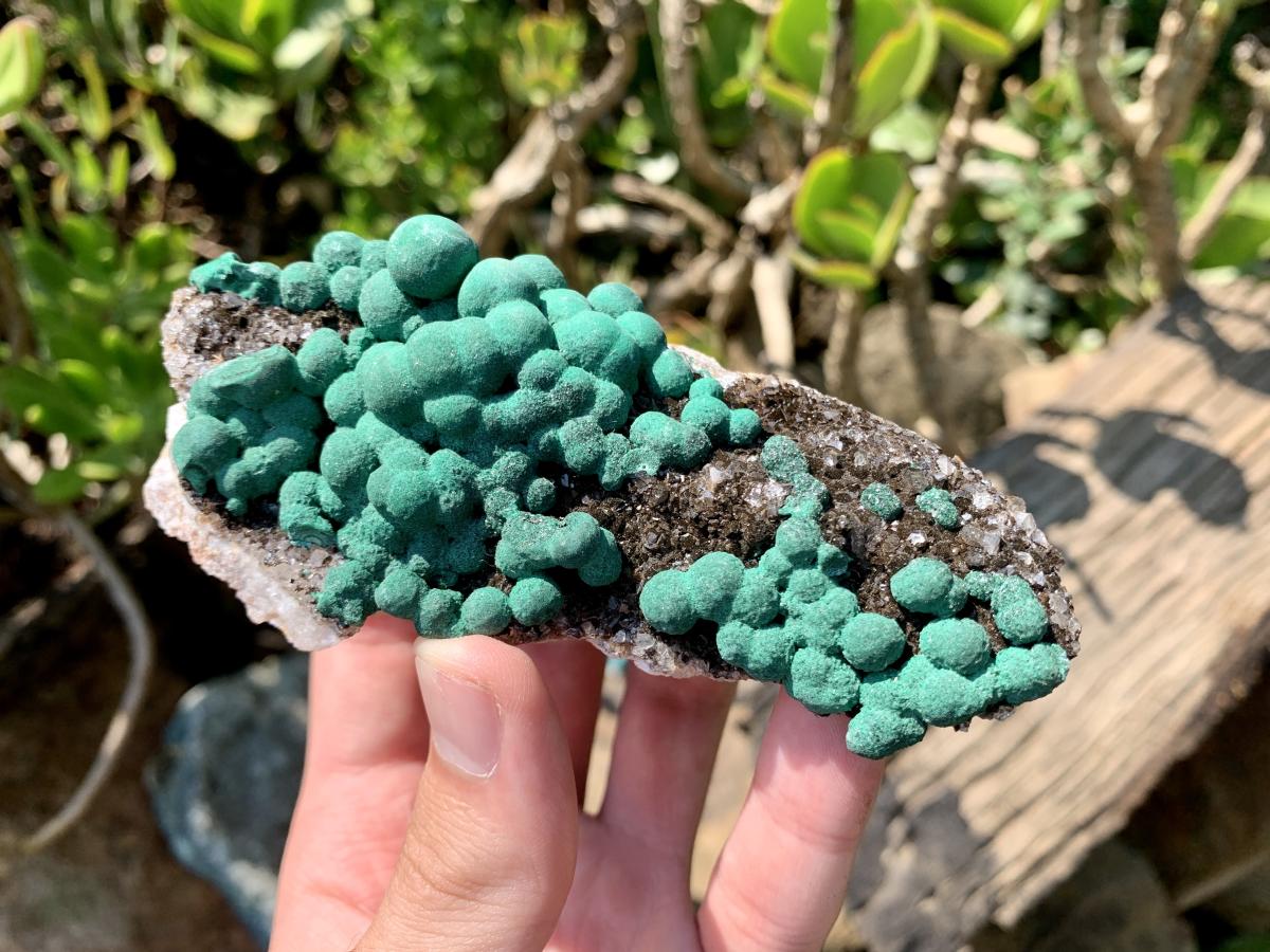 Natural Ball Malachite on Drusy Crystalline Dolomite Matrix Specimen x 1 From Kambove, Congo