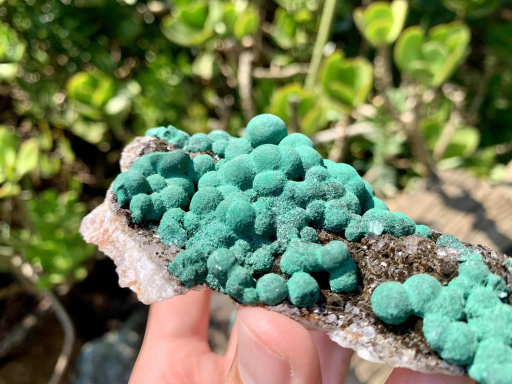 Natural Ball Malachite on Drusy Crystalline Dolomite Matrix Specimen x 1 From Kambove, Congo