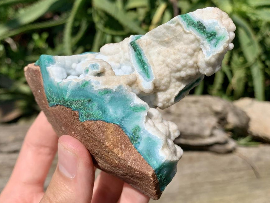 Natural White Dolomite With Malachite And Silica Chrysocolla Specimen x 1 From Mindingi Mine, Congo