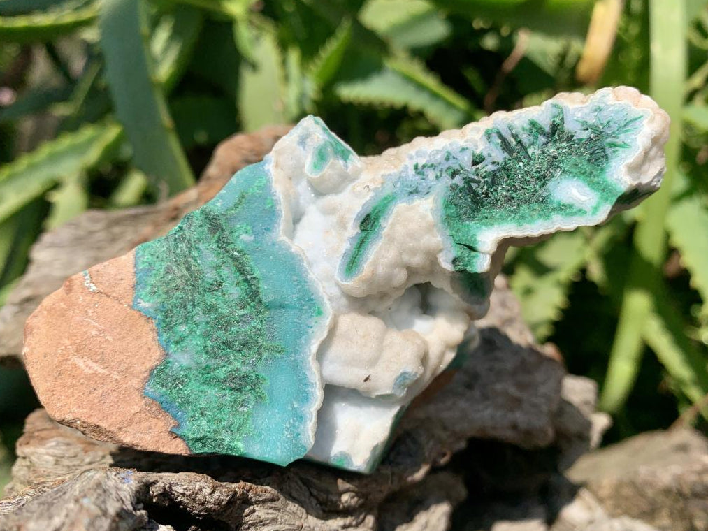 Natural White Dolomite With Malachite And Silica Chrysocolla Specimen x 1 From Mindingi Mine, Congo