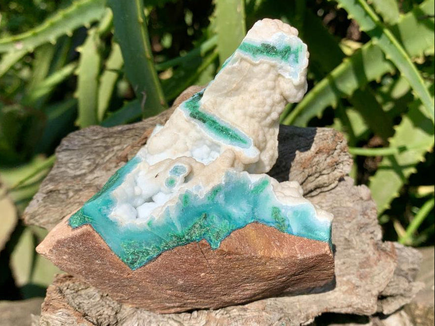 Natural White Dolomite With Malachite And Silica Chrysocolla Specimen x 1 From Mindingi Mine, Congo