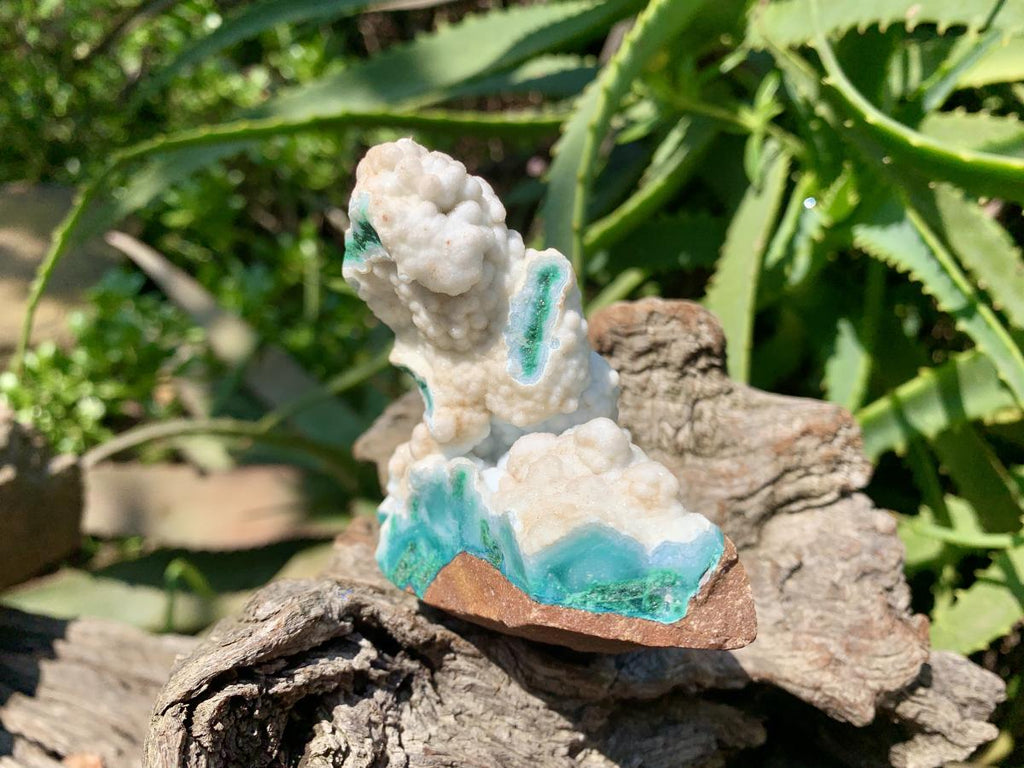 Natural White Dolomite With Malachite And Silica Chrysocolla Specimen x 1 From Mindingi Mine, Congo