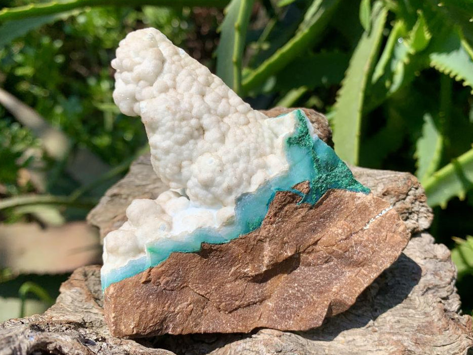 Natural White Dolomite With Malachite And Silica Chrysocolla Specimen x 1 From Mindingi Mine, Congo