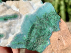 Natural White Dolomite With Malachite And Silica Chrysocolla Specimen x 1 From Mindingi Mine, Congo
