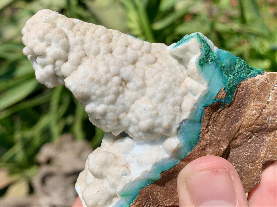 Natural White Dolomite With Malachite And Silica Chrysocolla Specimen x 1 From Mindingi Mine, Congo