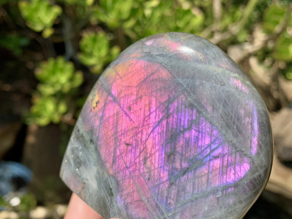 Polished Rare Purple Sunset Labradorite Standing Free Form x 1 From Tulear, Madagascar