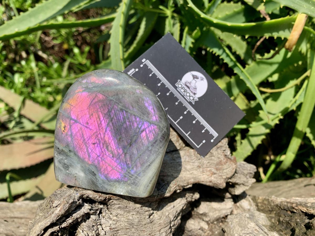 Polished Rare Purple Sunset Labradorite Standing Free Form x 1 From Tulear, Madagascar