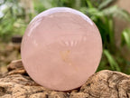 Polished Gemmy Star Rose Quartz Sphere x 1 From Ambatondrazaka, Madagascar
