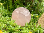 Polished Gemmy Star Rose Quartz Sphere x 1 From Ambatondrazaka, Madagascar