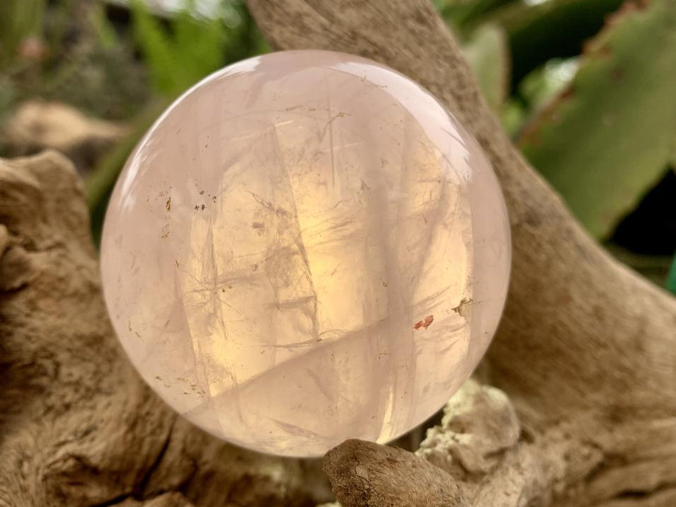 Polished Gemmy Star Rose Quartz Sphere x 1 From Ambatondrazaka, Madagascar