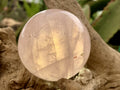 Polished Gemmy Star Rose Quartz Sphere x 1 From Ambatondrazaka, Madagascar
