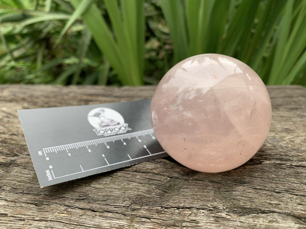 Polished Gemmy Star Rose Quartz Sphere x 1 From Ambatondrazaka, Madagascar