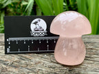 Polished Gemmy Star Rose Quartz Button Mushroom x 1 From Ambatondrazaka, Madagascar