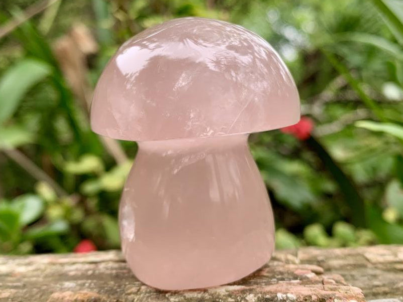 Polished Gemmy Star Rose Quartz Button Mushroom x 1 From Ambatondrazaka, Madagascar
