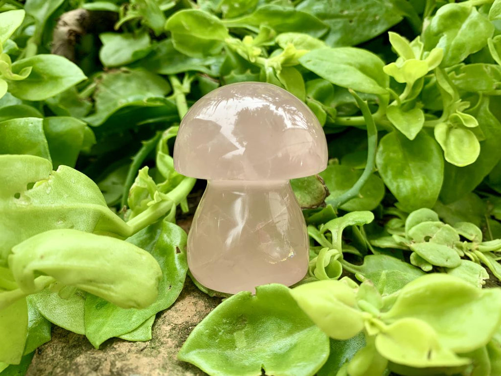 Polished Gemmy Star Rose Quartz Button Mushroom x 1 From Ambatondrazaka, Madagascar