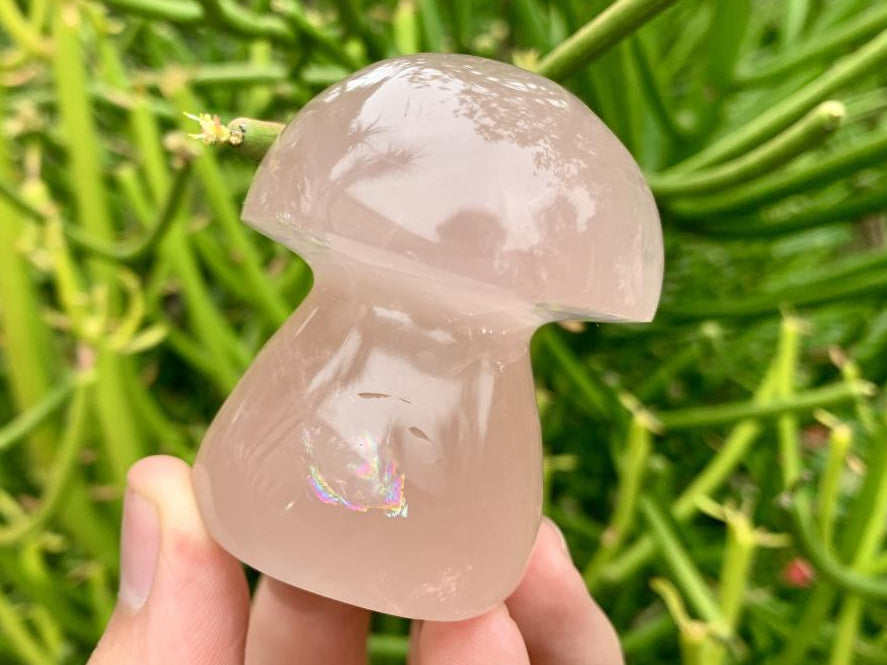 Polished Gemmy Star Rose Quartz Button Mushroom x 1 From Ambatondrazaka, Madagascar