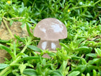 Polished Gemmy Star Rose Quartz Button Mushroom x 1 From Ambatondrazaka, Madagascar