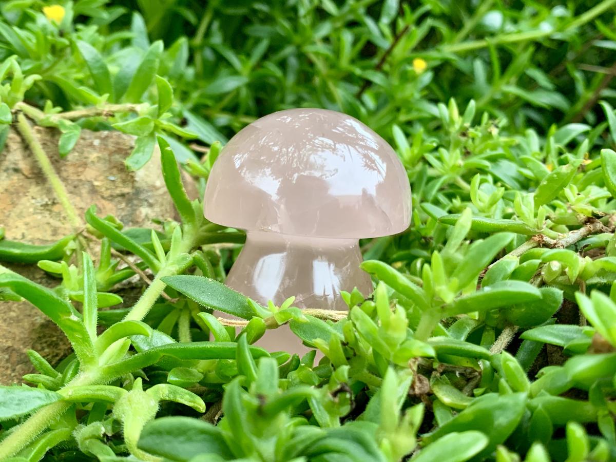 Polished Gemmy Star Rose Quartz Button Mushroom x 1 From Ambatondrazaka, Madagascar