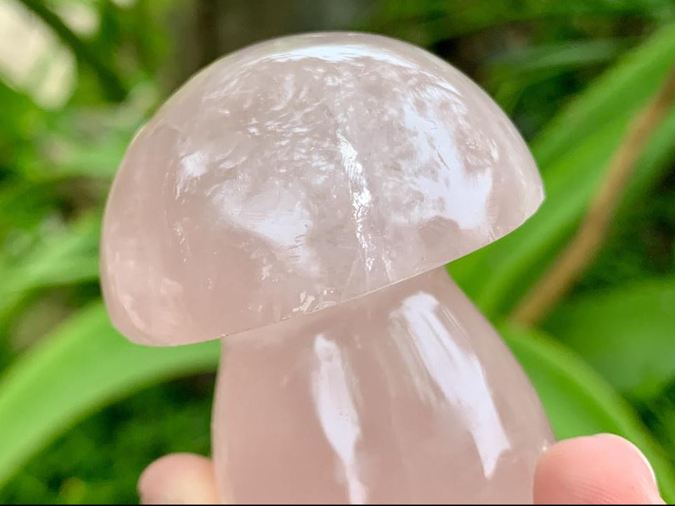 Polished Gemmy Star Rose Quartz Button Mushroom x 1 From Ambatondrazaka, Madagascar