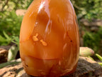 Polished Crystalline Geode Centered Carnelian Standing Free Form x 1 From Madagascar