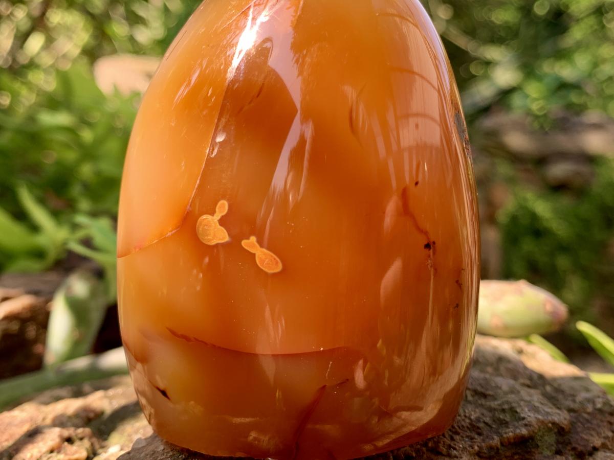 Polished Crystalline Geode Centered Carnelian Standing Free Form x 1 From Madagascar