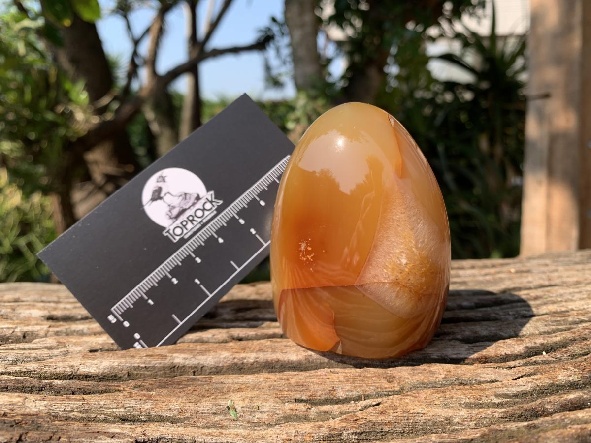 Polished Crystalline Geode Centered Carnelian Standing Free Form x 1 From Madagascar