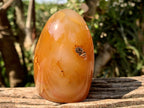 Polished Crystalline Geode Centered Carnelian Standing Free Form x 1 From Madagascar