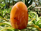 Polished Crystalline Geode Centered Carnelian Standing Free Form x 1 From Madagascar