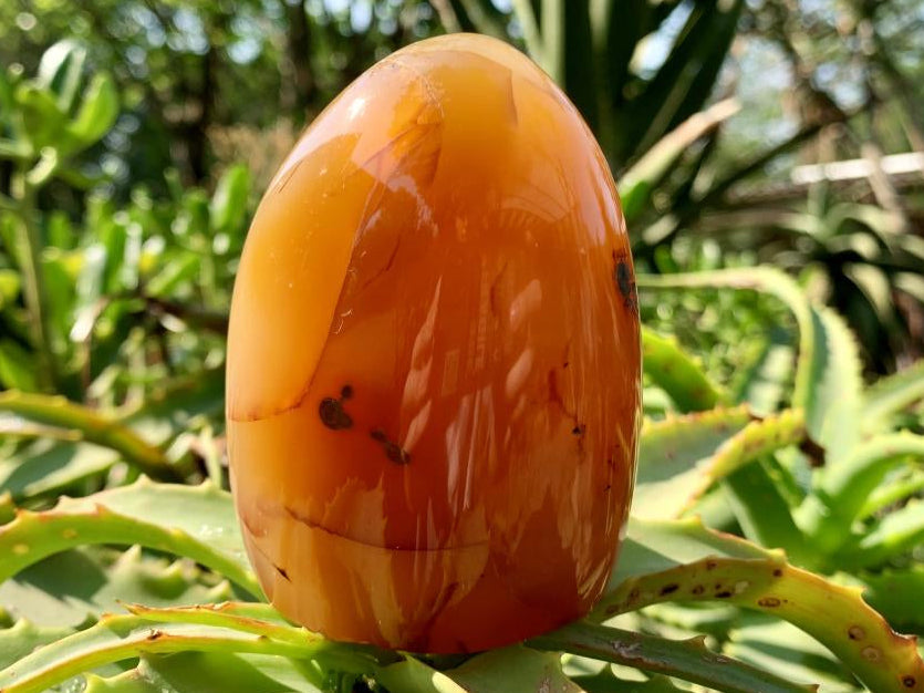 Polished Crystalline Geode Centered Carnelian Standing Free Form x 1 From Madagascar